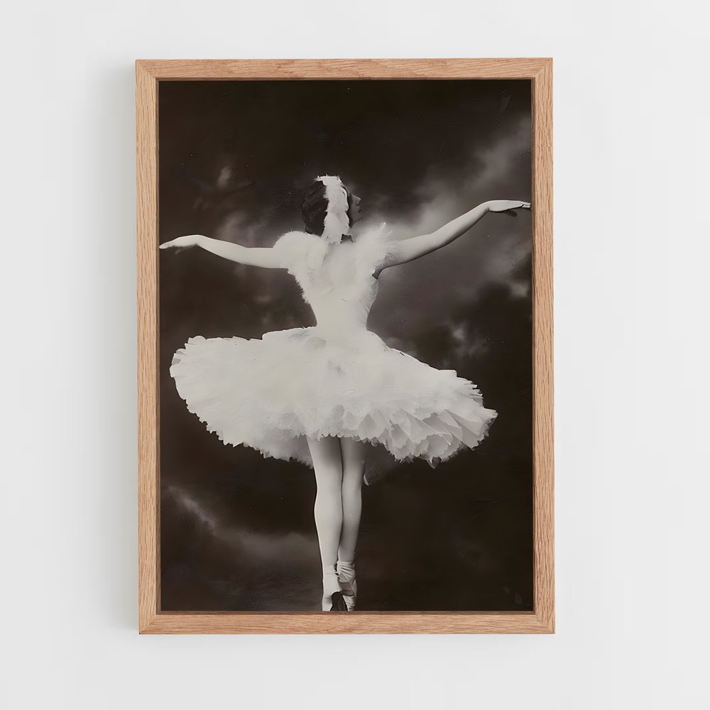 Poster Anna de pavlova ballerine – affiche Danse (vue 4)